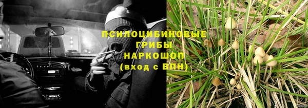 ECSTASY Вязьма