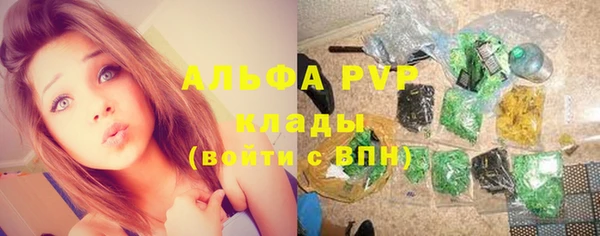 ECSTASY Вязьма